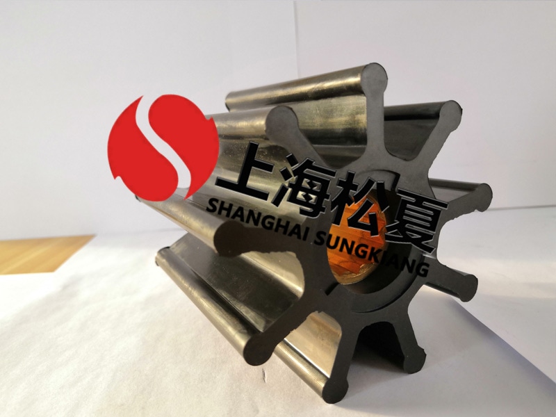 定制橡膠葉輪泵需要注意什么呢？